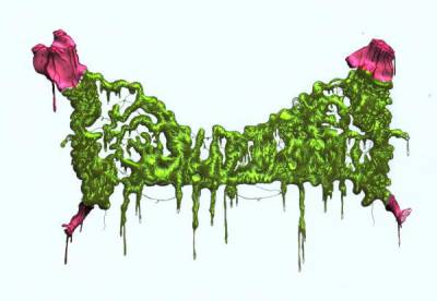 logo Body Descomposition